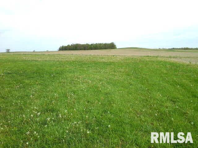 17751 Ewing Road Ewing, IL 62836 - Photo 47 of 50