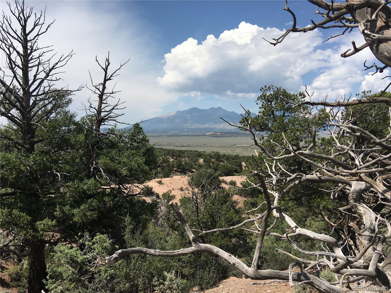 111 Mitchell Road Fort Garland, CO 81133 - Photo 11 of 23 a view of a houses with a yard