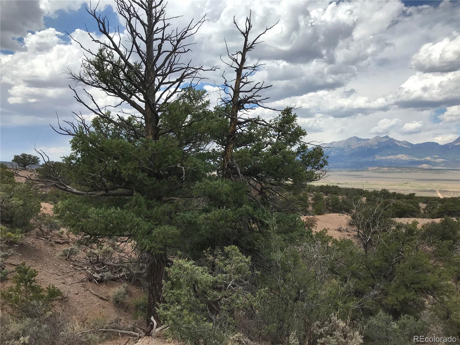 111 Mitchell Road Fort Garland, CO 81133 - Photo 2 of 23 a view of a lake with lots of trees