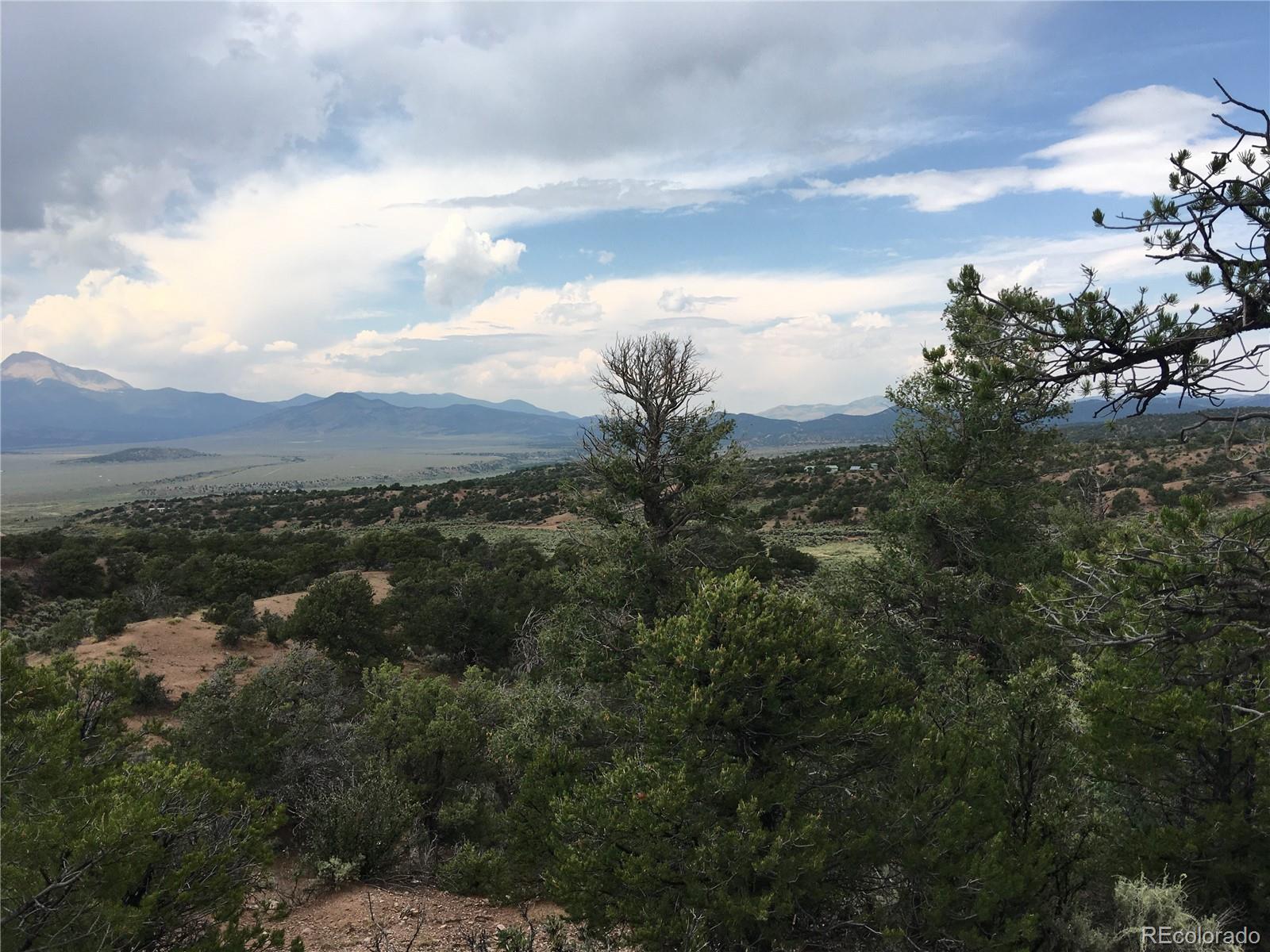 111 Mitchell Road Fort Garland, CO 81133 - Photo 10 of 23 a view of a bunch of trees in a field