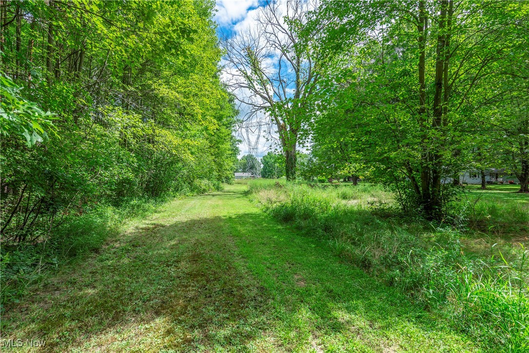 14808 Wheeler Road Lagrange, OH 44050 - Photo 35 of 50 View of grassy yard