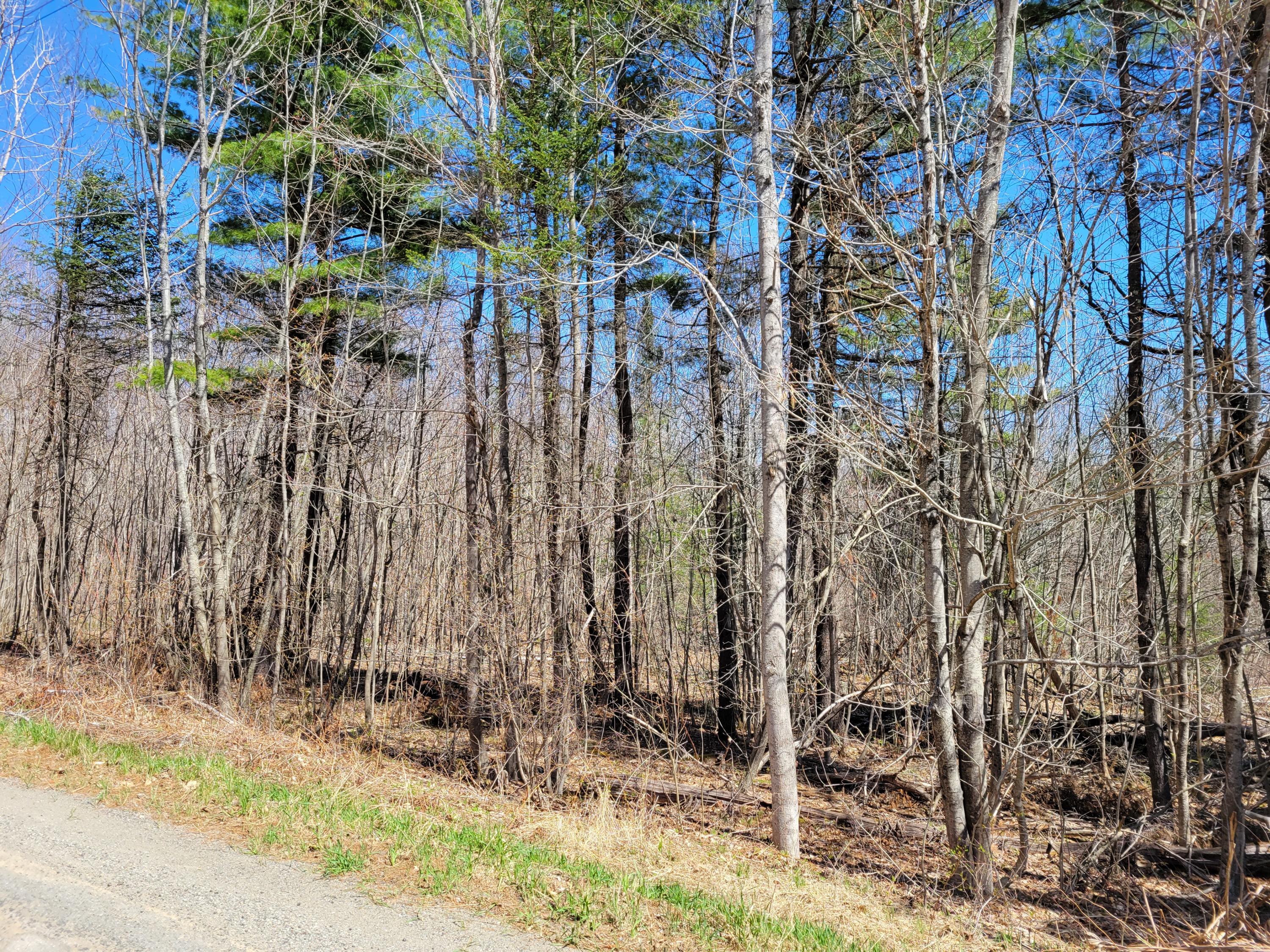 Lot 3 Monroe Road Swanville, ME 04915 - Photo 1 of 2 20210427_131812