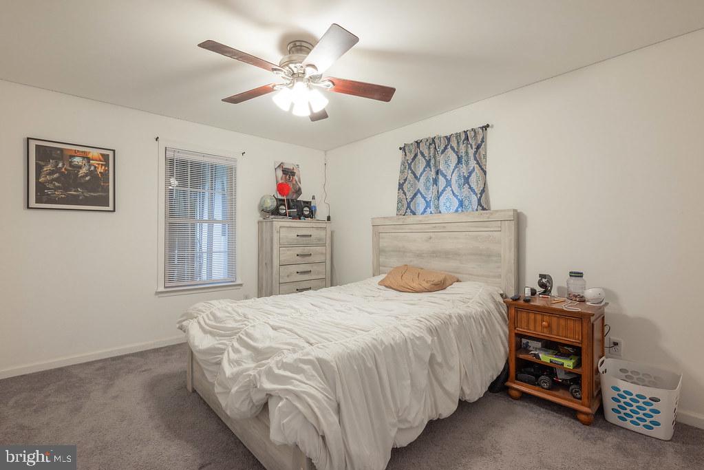 203 Blundon Road Heathsville, VA 22473 - Photo 8 of 41 Gallery Image 8