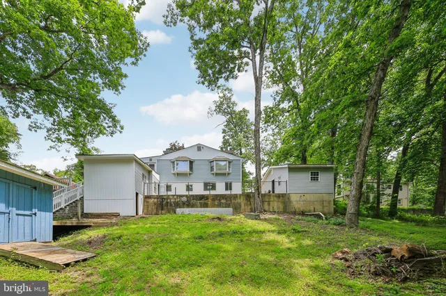 a view of backyard and tree
