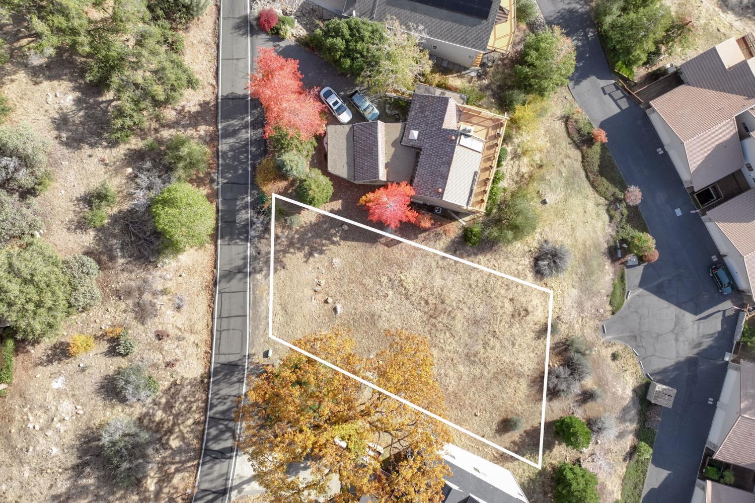 838 Laurel Lane Murphys, CA 95247 - Photo 3 of 18 an aerial view of a house with a yard and large trees