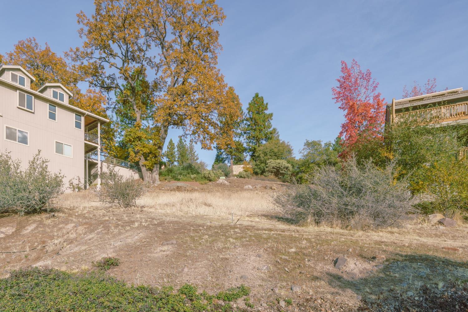 838 Laurel Lane Murphys, CA 95247 - Photo 4 of 18 a view of a yard with a house