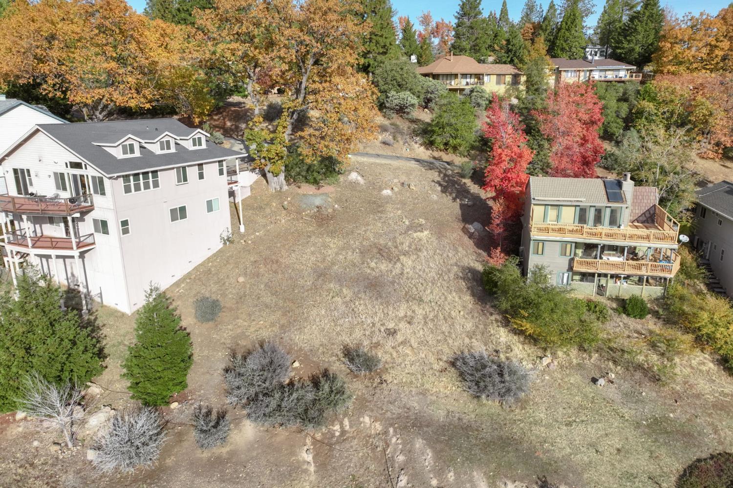 838 Laurel Lane Murphys, CA 95247 - Photo 7 of 18 an aerial view of a house with a yard and trees all around