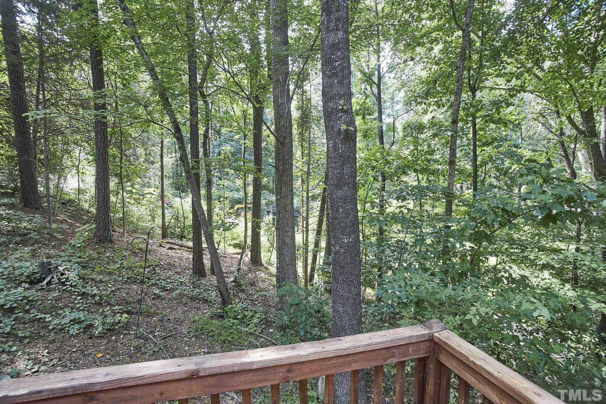 1002 Wave Road Chapel Hill, NC 27517 - Photo 43 of 43 a view of trees and yard from a window
