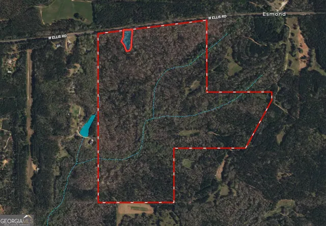 $500,000 | 200-ac West Ellis Road, Griffin, GA 30223