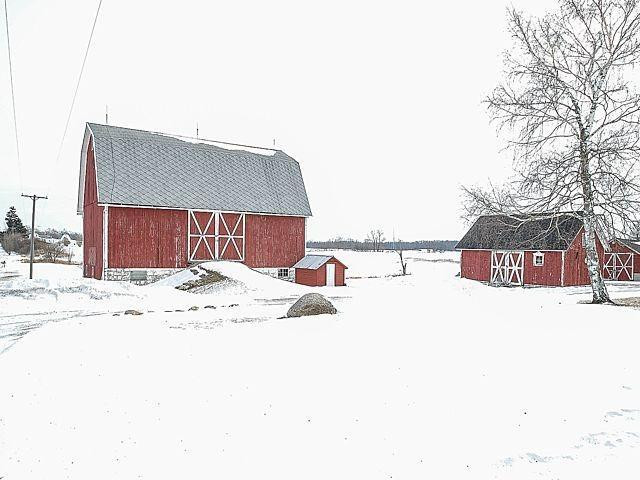 11645 East Austin Road Manchester, MI 48158 - Photo 45 of 65 Photo 45