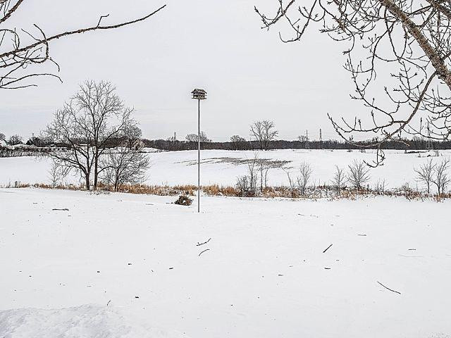 11645 East Austin Road Manchester, MI 48158 - Photo 48 of 65 Photo 48