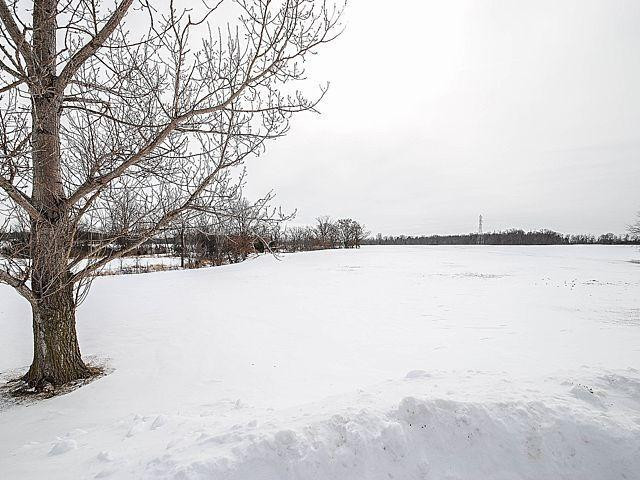 11645 East Austin Road Manchester, MI 48158 - Photo 61 of 65 Photo 61