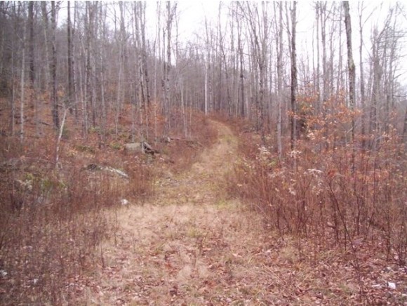 94 Bridgewater Hollow Rd Extension Bridgewater, VT 05035 - Photo 1 of 1
