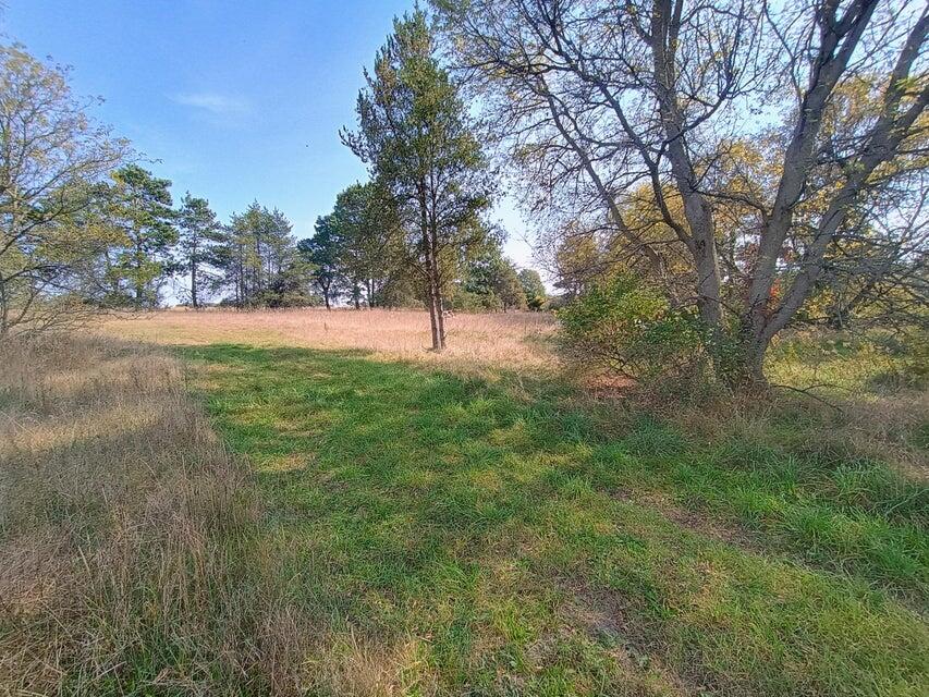 3571 East Decker Road Custer, MI 49405 - Photo 4 of 10 20241018210506574684000000-o