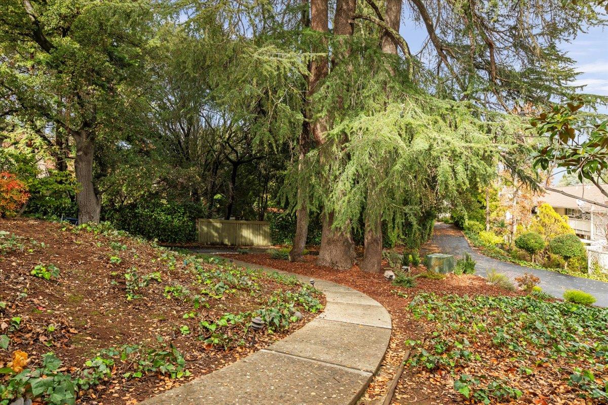 600 Pennsylvania Avenue, Unit 10 Los Gatos, CA 95030 - Photo 31 of 37