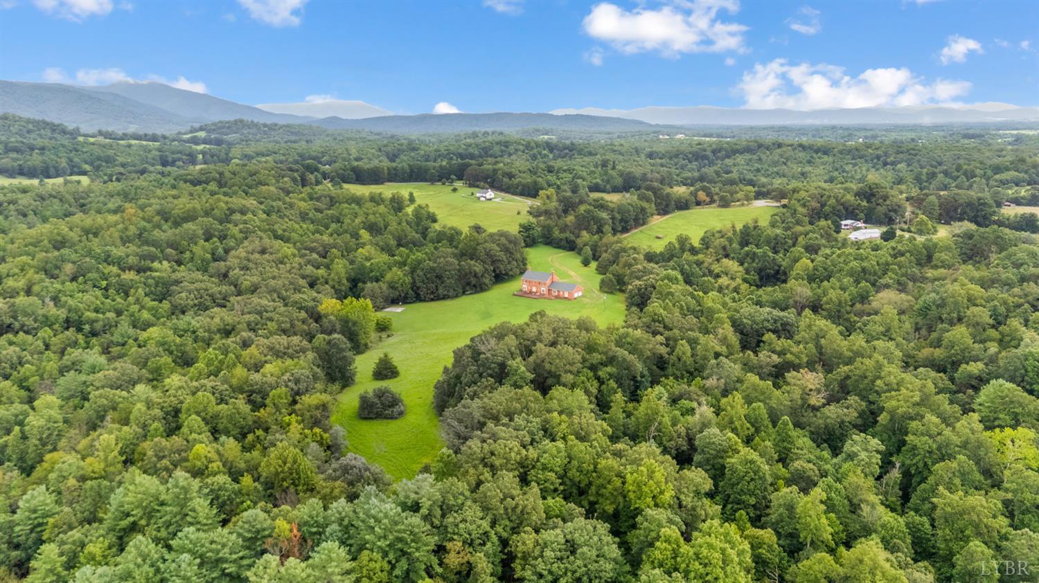 837 Gidsville Road Amherst, VA 24521 - Photo 18 of 82 a view of a lush green forest with lots of trees