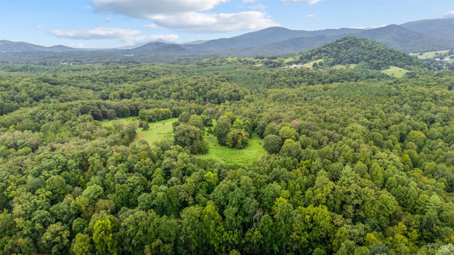 837 Gidsville Road Amherst, VA 24521 - Photo 74 of 82 a view of a lush green hillside and a mountain