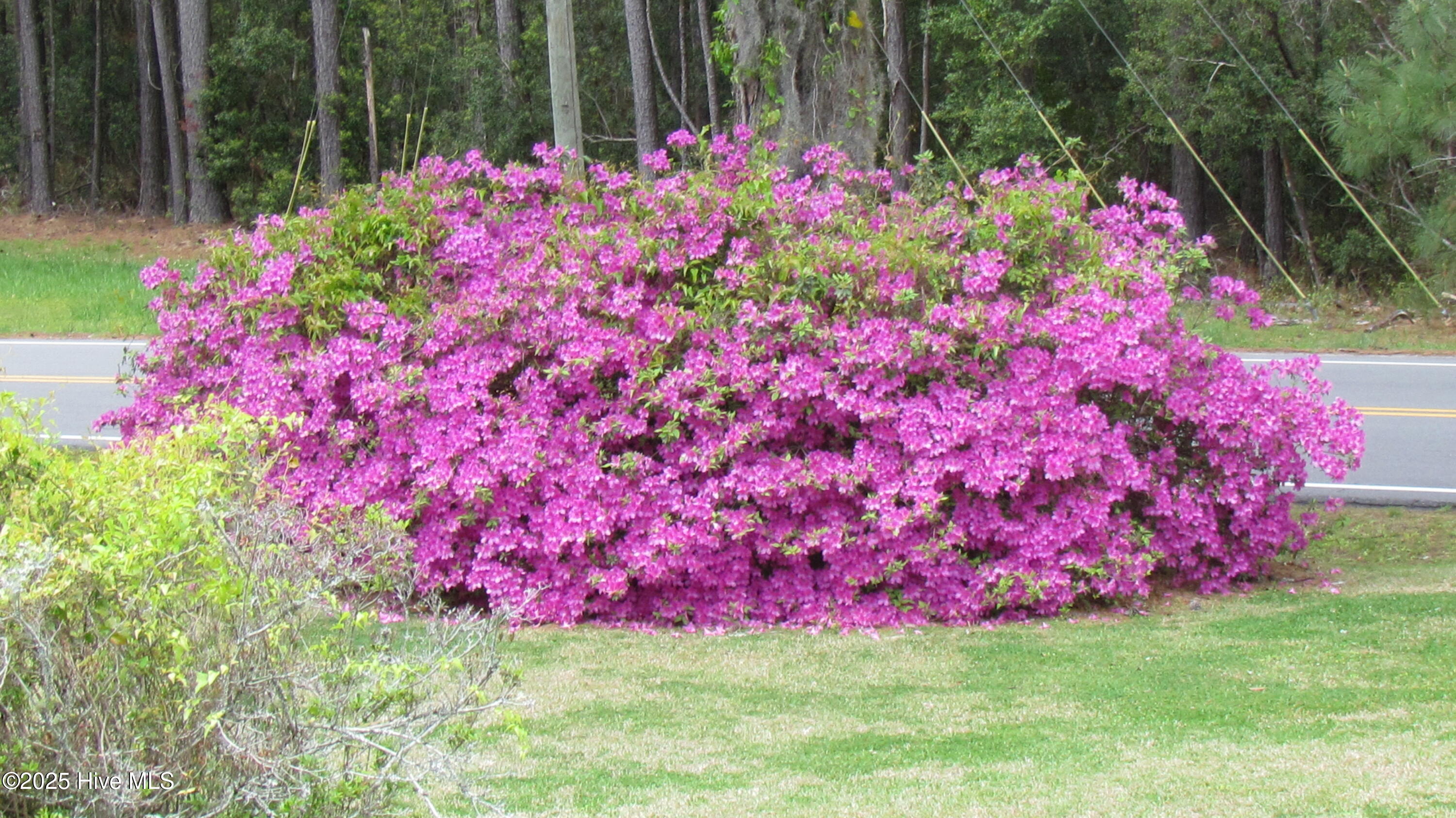 4414 Merrimon Road Beaufort, NC 28516 - Photo 54 of 71 IMG_5093
