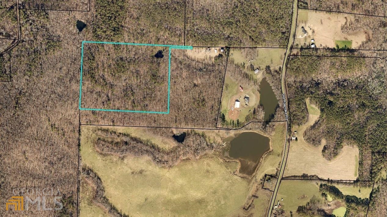 0 Roanoke Road Bowdon, GA 30108 - Photo 1 of 1