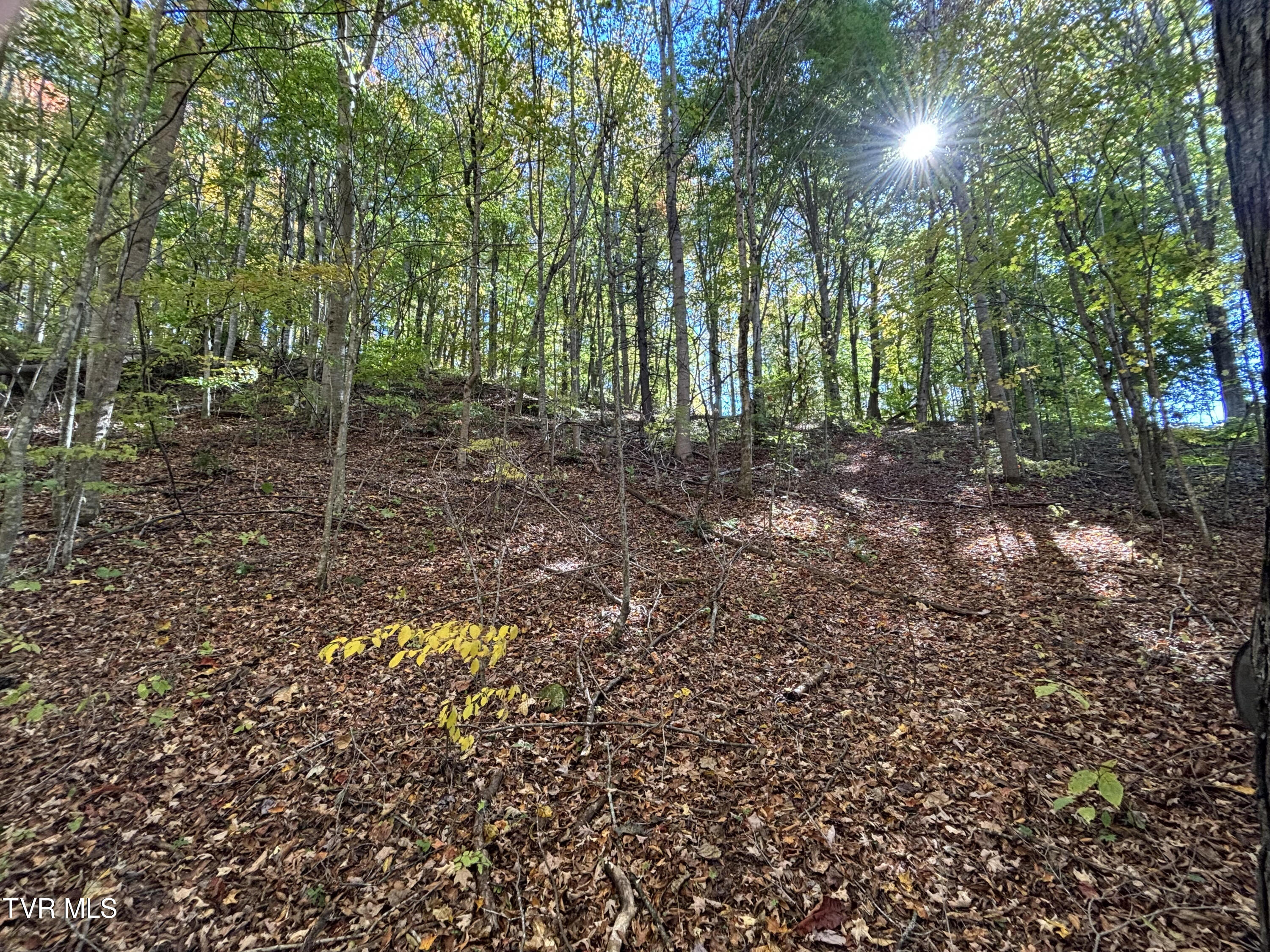 Tbd Heaton Ridge Road Roan Mountain, TN 37687 - Photo 2 of 8 Heaton Ridge 2