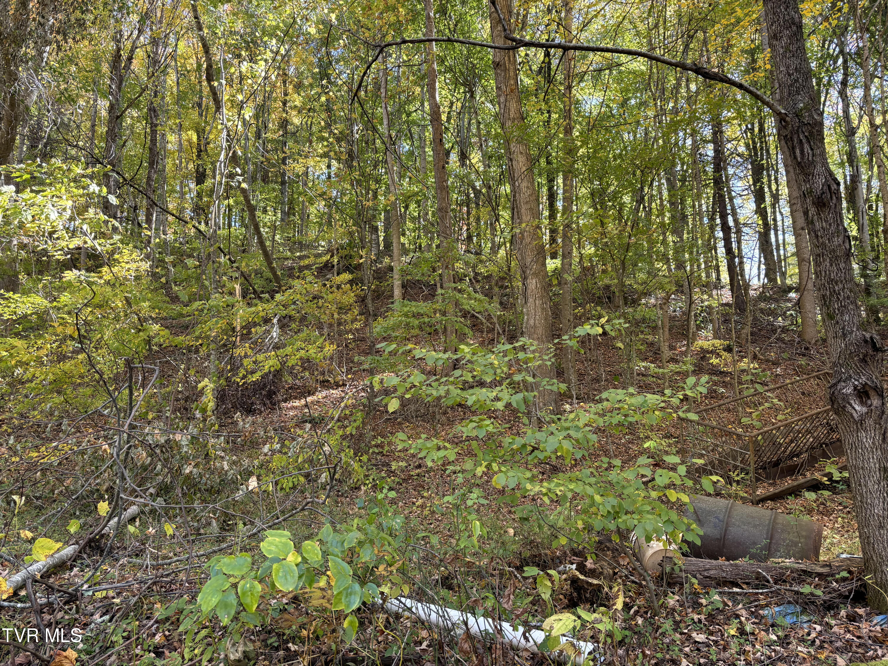 Tbd Heaton Ridge Road Roan Mountain, TN 37687 - Photo 7 of 8 Heaton Ridge 7
