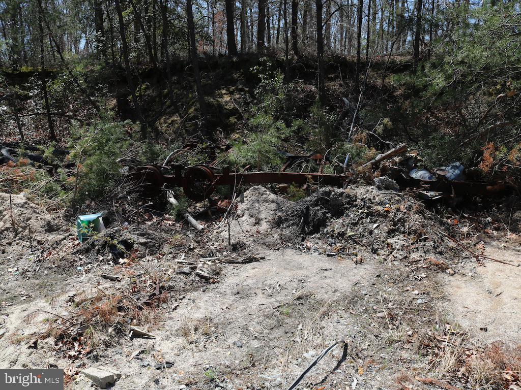 351 Shaws Mill Road Cedarville, NJ 08311 - Photo 26 of 84