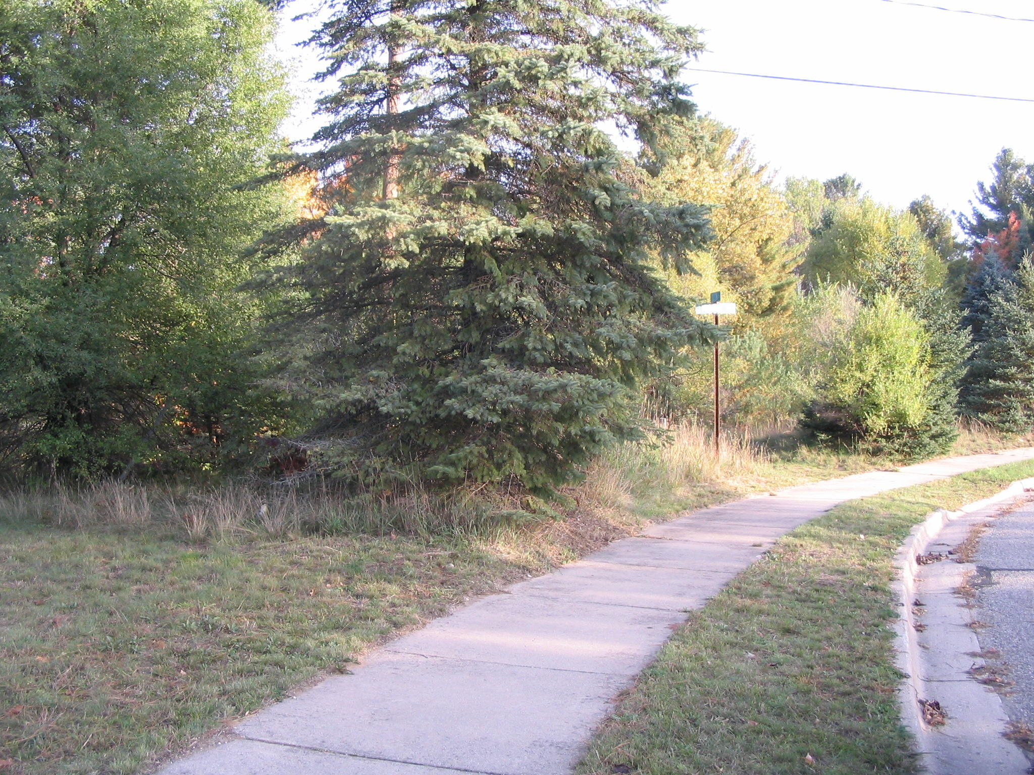Knight Street Grayling, MI 49738 - Photo 5 of 9 Gallery Image 5