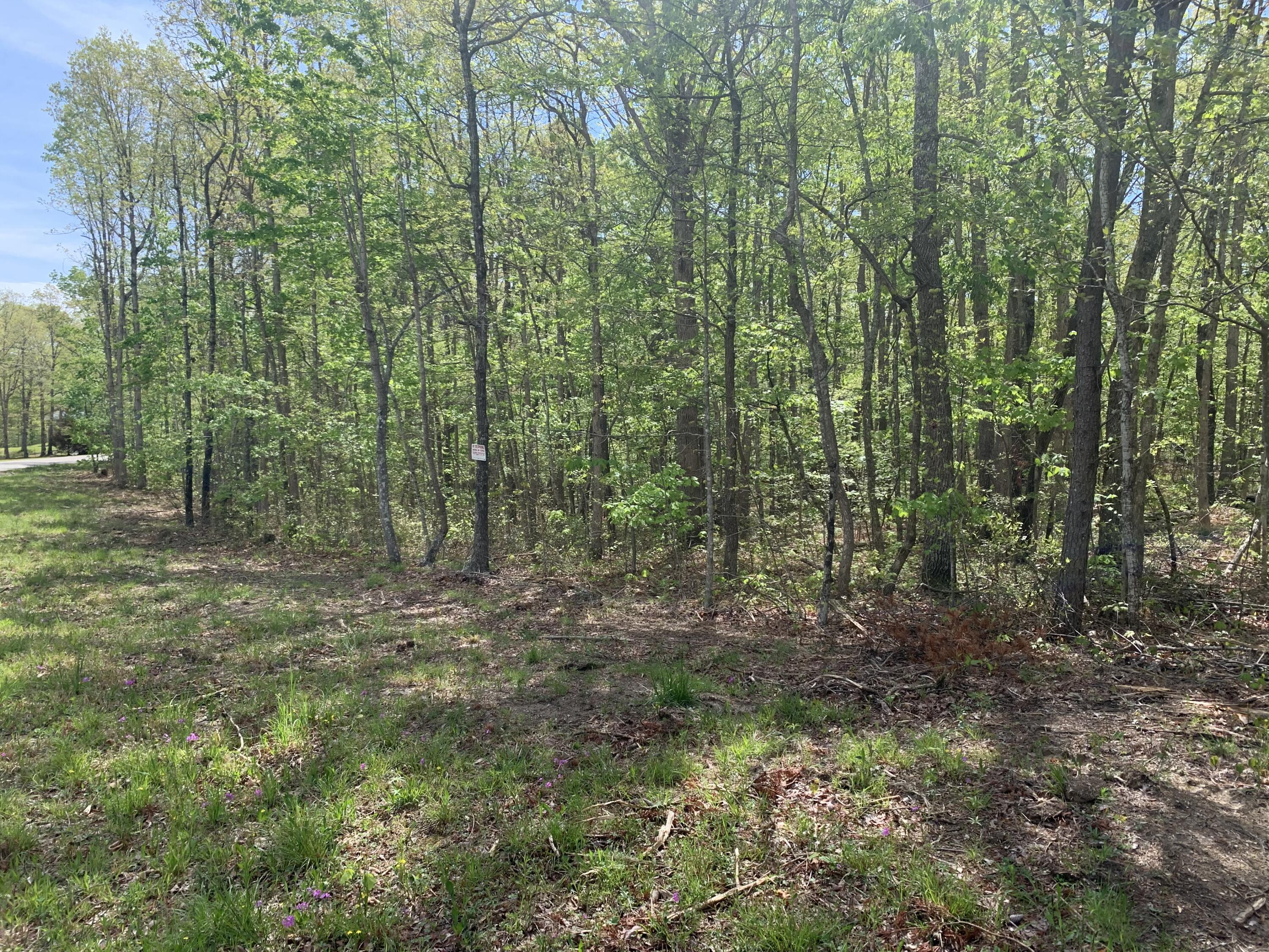 278 White Oak Swamp Road Dunlap, TN 37327 - Photo 4 of 6 Listing Photo