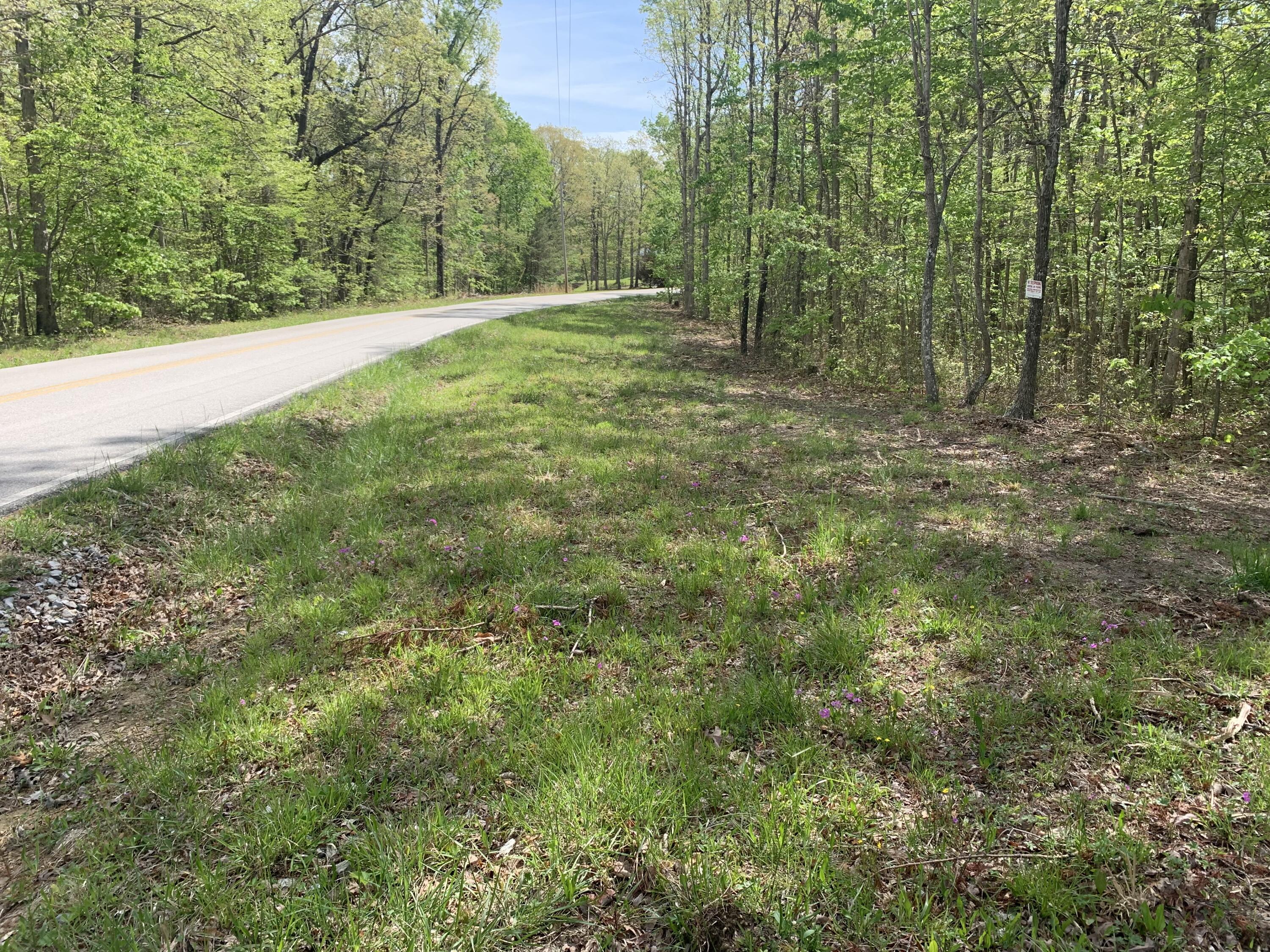 278 White Oak Swamp Road Dunlap, TN 37327 - Photo 5 of 6 Listing Photo 5
