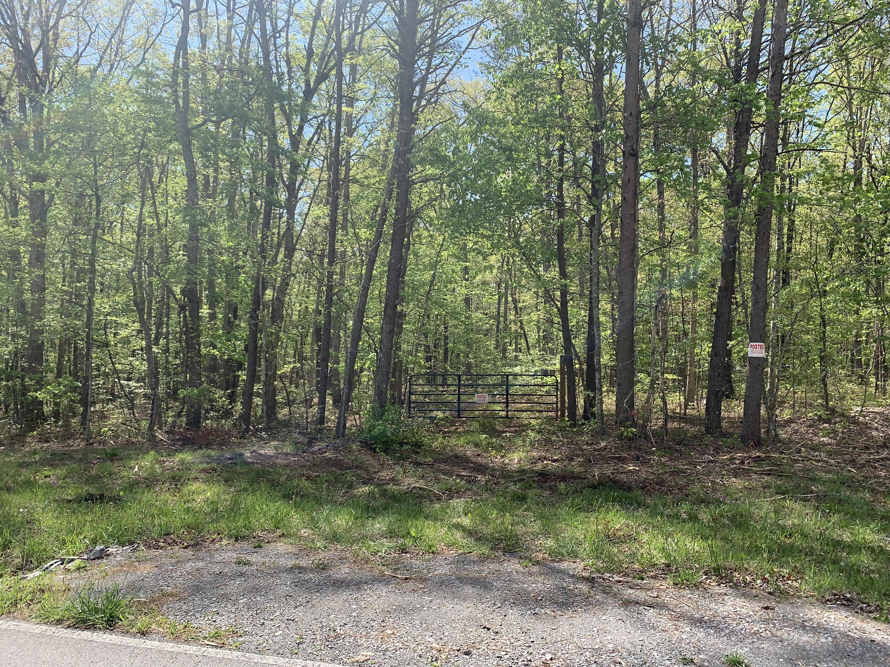 278 White Oak Swamp Road Dunlap, TN 37327 - Photo 6 of 6 Listing Photo 6
