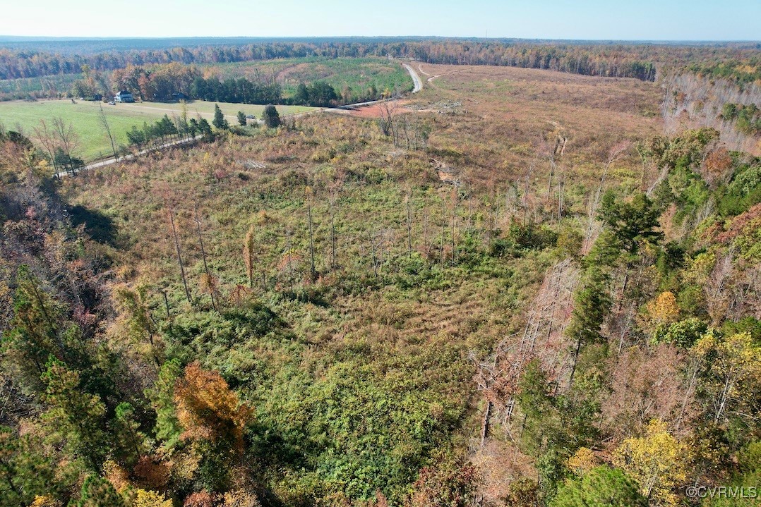 0 Kings Road Green Bay, VA 23942 - Photo 19 of 24 a view of a field with a tree
