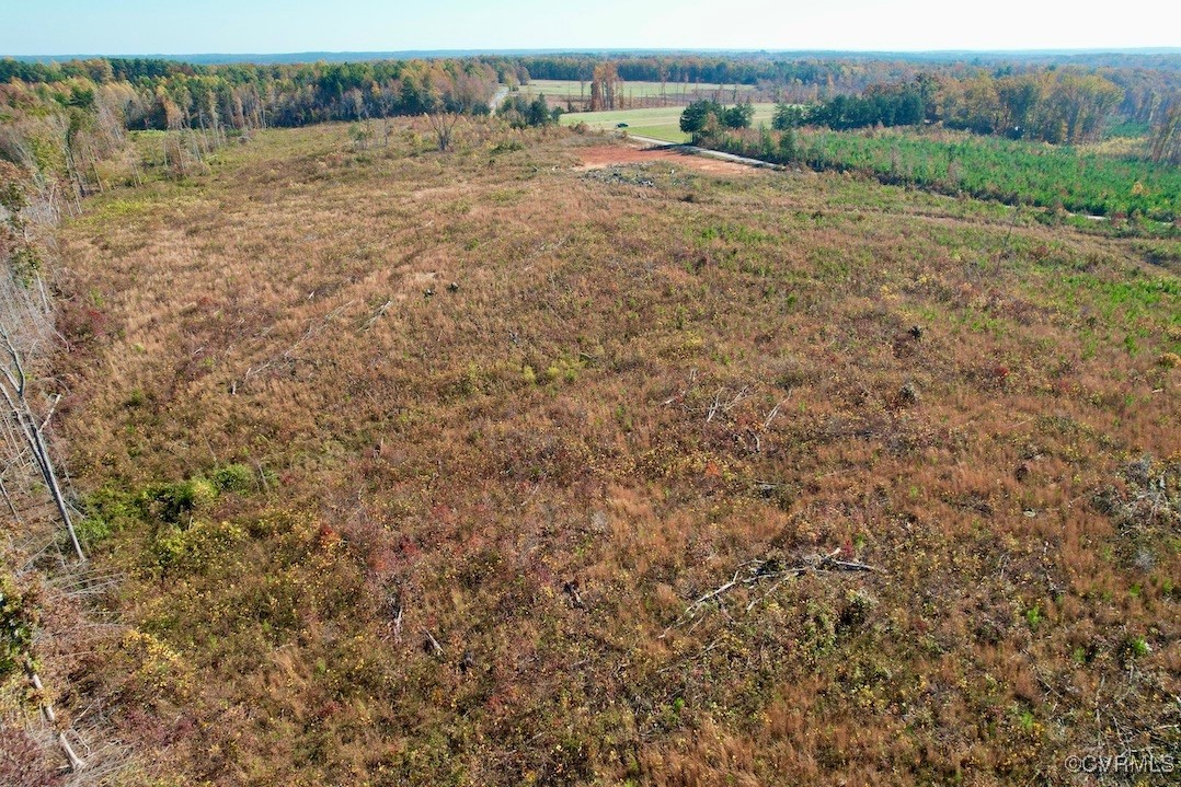 0 Kings Road Green Bay, VA 23942 - Photo 20 of 24 a view of a field of grass and trees