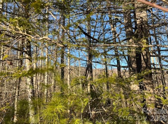 0 Shelton Laurel Road Clyde, NC 28721 - Photo 1 of 6