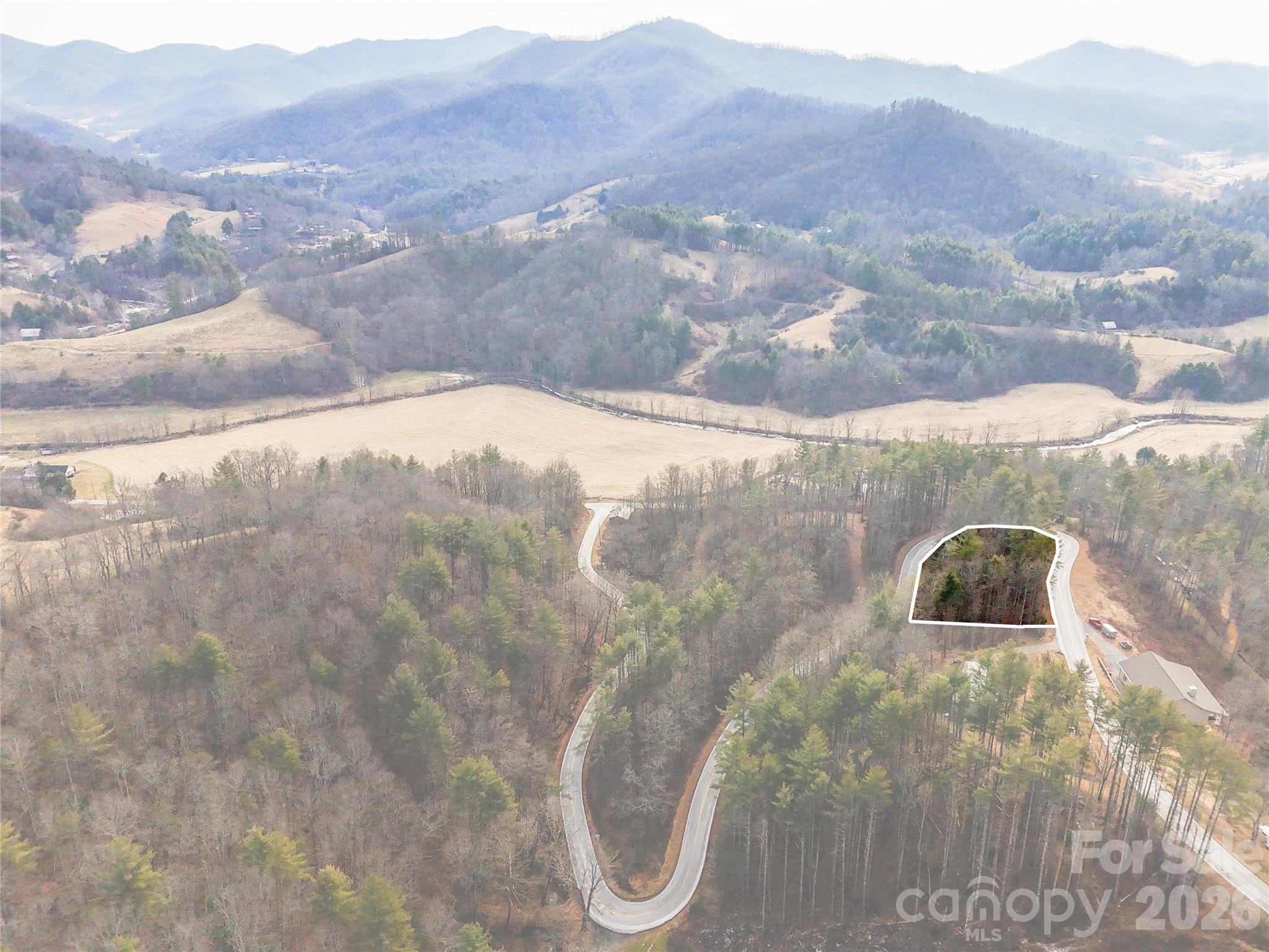 0 Shelton Laurel Road Clyde, NC 28721 - Photo 3 of 6