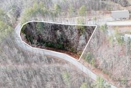 0 Shelton Laurel Road Clyde, NC 28721 - Photo 4 of 6