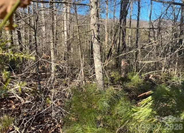 $24,999 | 0 Shelton Laurel Road, Clyde, NC 28721