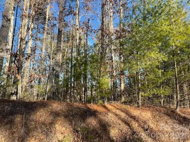 $24,999 | 0 Shelton Laurel Road, Clyde, NC 28721