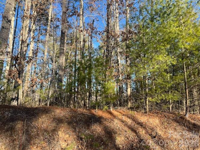 0 Shelton Laurel Road Clyde, NC 28721 - Photo 6 of 6