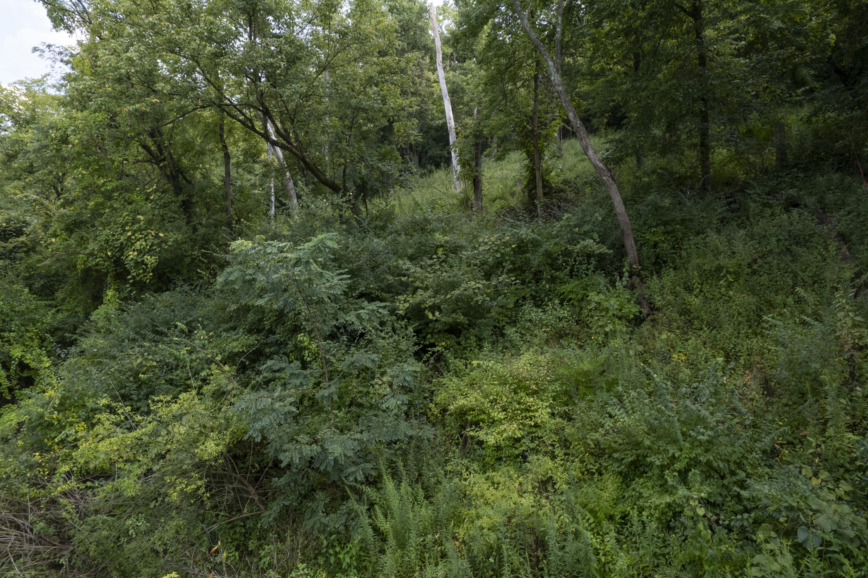1419 Industrial Road Newport, KY 41076 - Photo 17 of 19