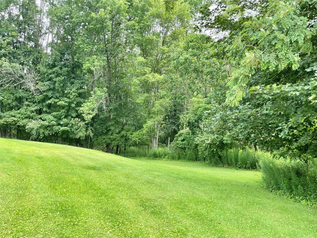 888 Lisle Road Owego, NY 13827 - Photo 40 of 44 Gallery Image 40