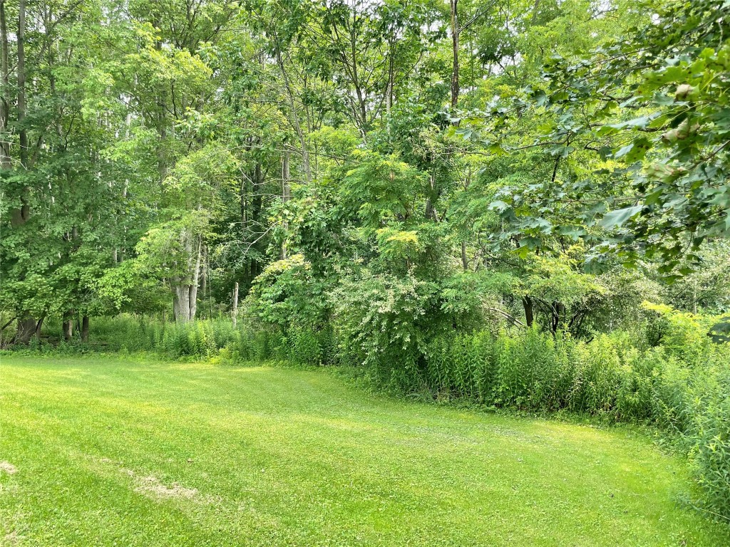 888 Lisle Road Owego, NY 13827 - Photo 42 of 44 Gallery Image 42