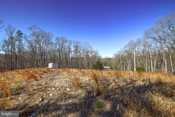 a view of a yard with trees in the background