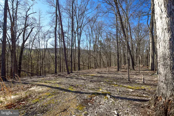 a view of a backyard of the house