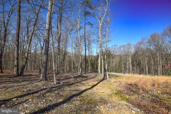 a view of outdoor space with trees