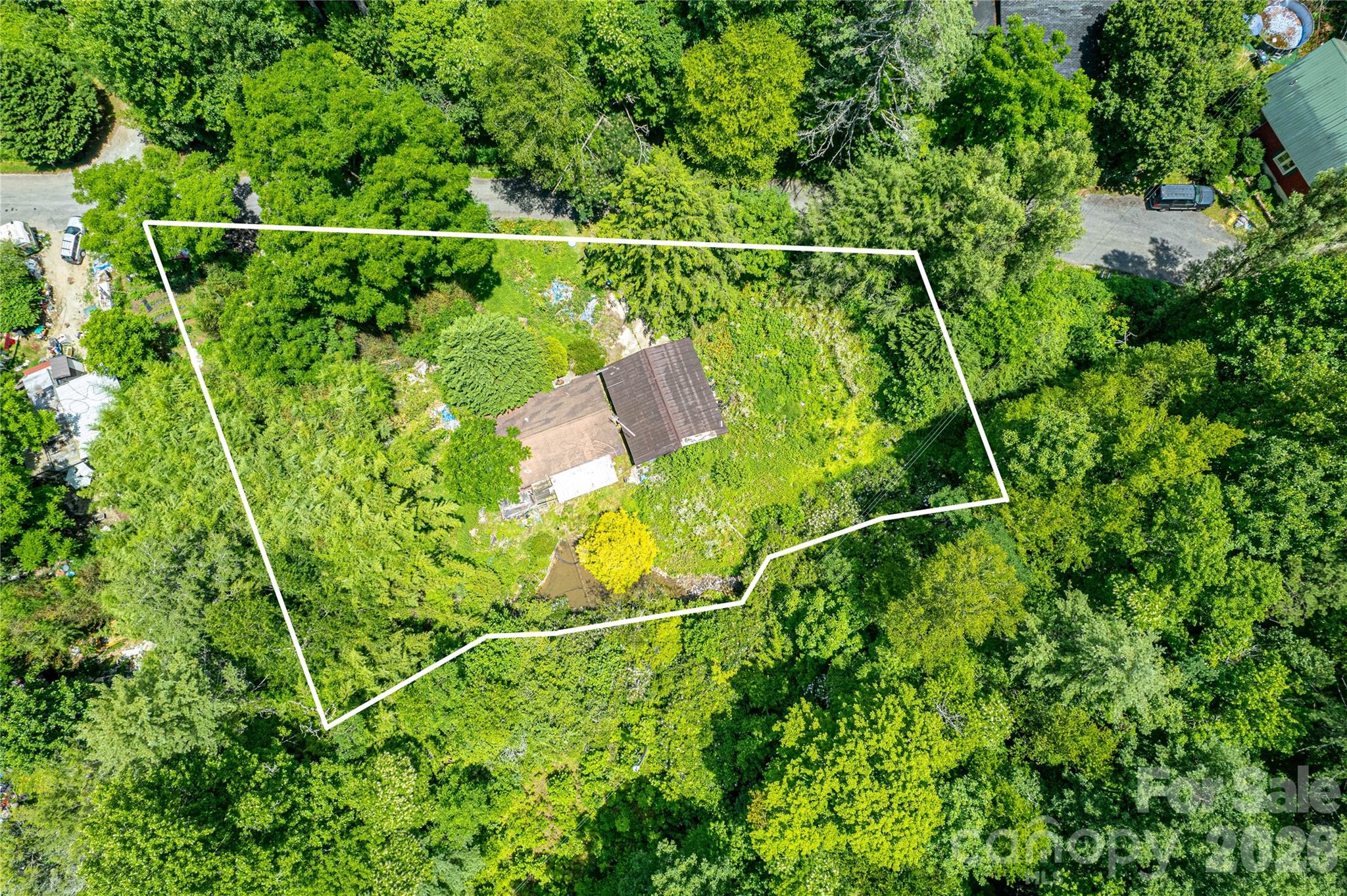 72 Bothy Road Brevard, NC 28712 - Photo 3 of 15 Gallery Image 3
