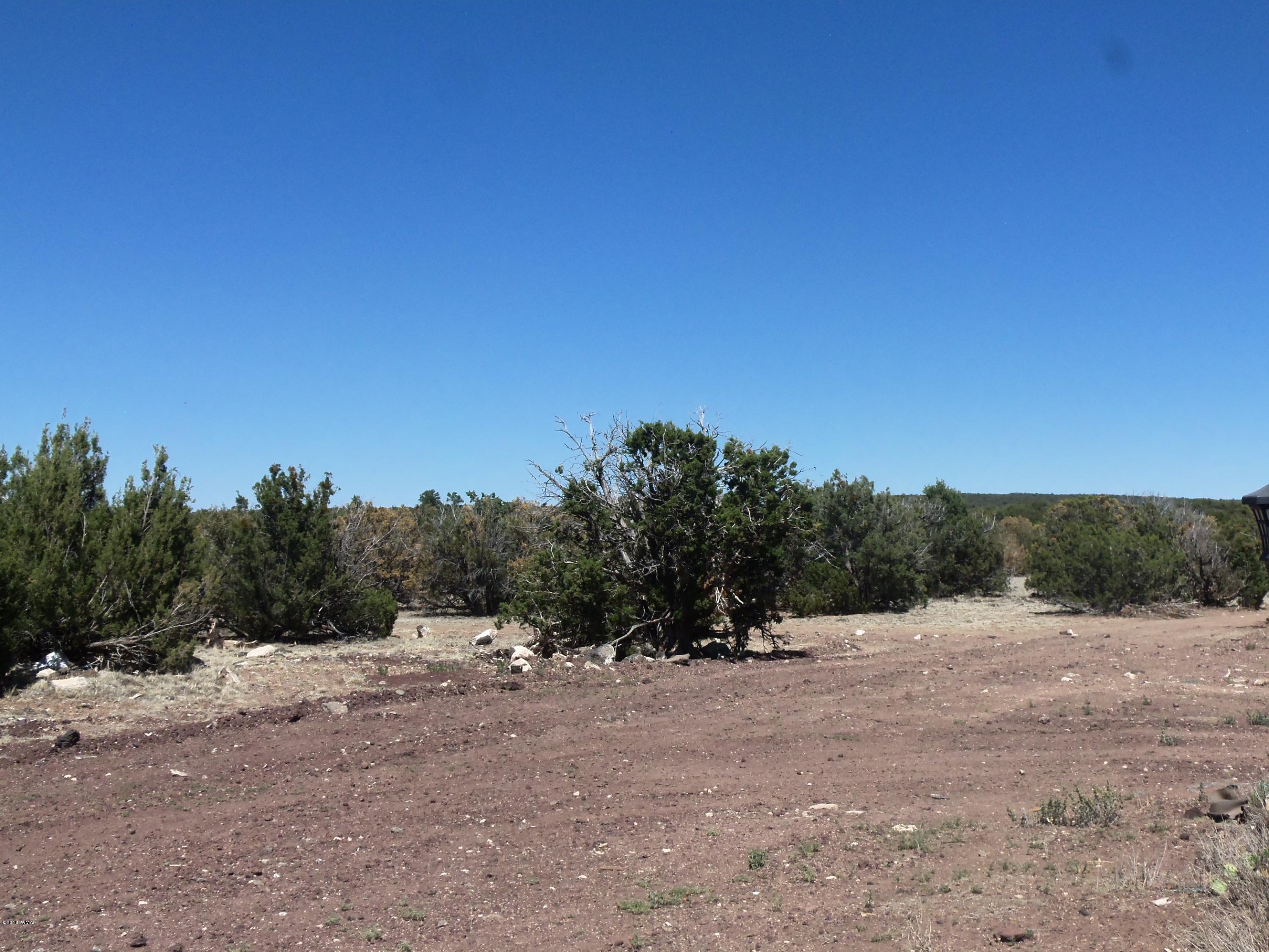 46 8307 Concho, AZ 85924 - Photo 11 of 34 a view of dirt field with trees in background