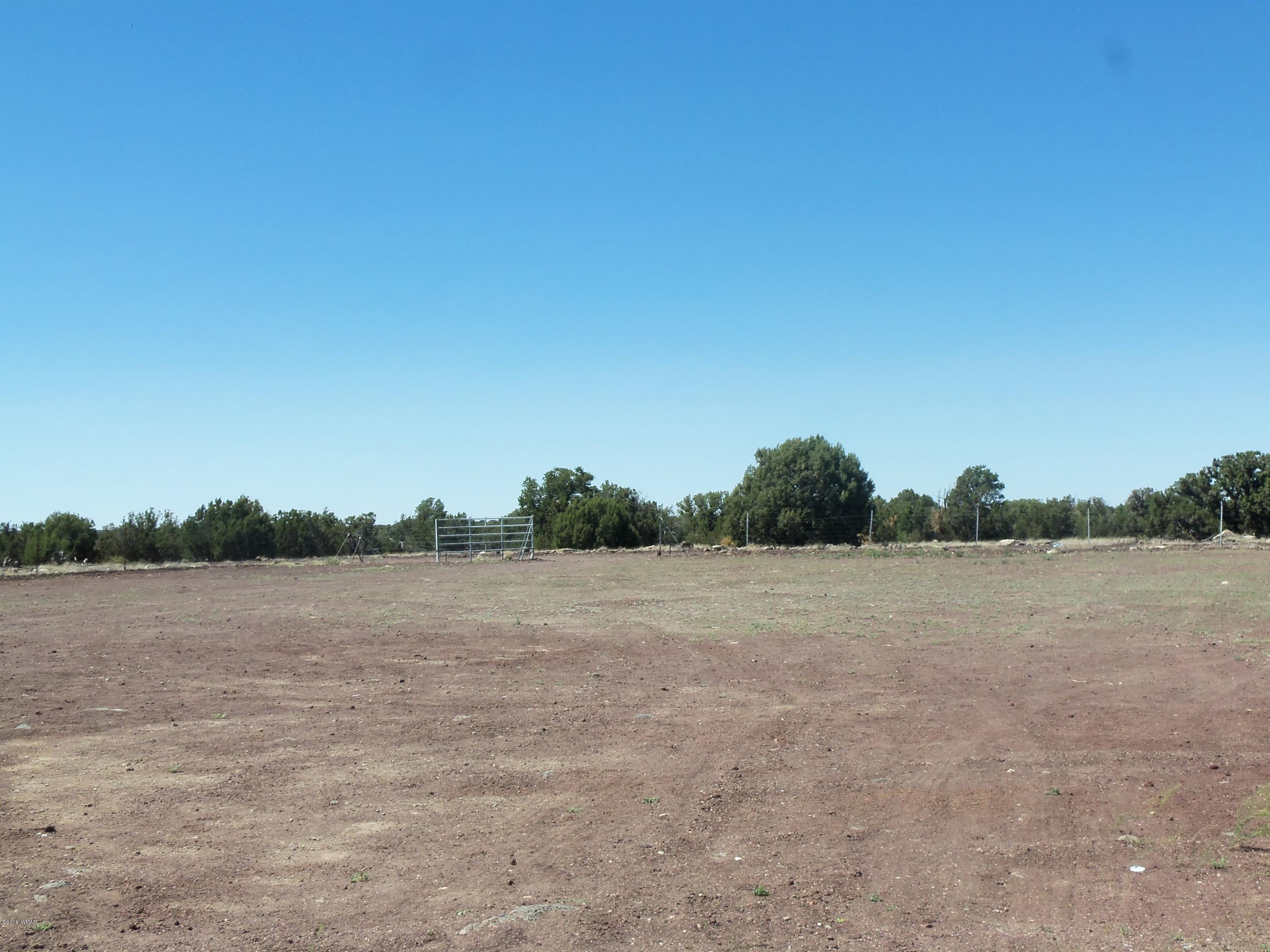 46 8307 Concho, AZ 85924 - Photo 9 of 34 a view of lake and mountain view