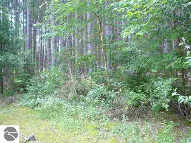 2190 Highway 30 Alger, MI 48610 - Photo 2 of 6