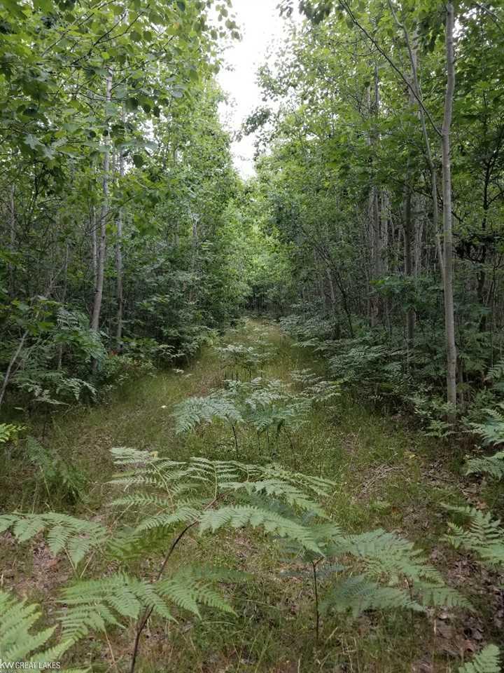 5490 Esmond Road Hale, MI 48739 - Photo 17 of 28