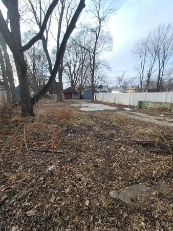 a view of dirt yard with a large tree